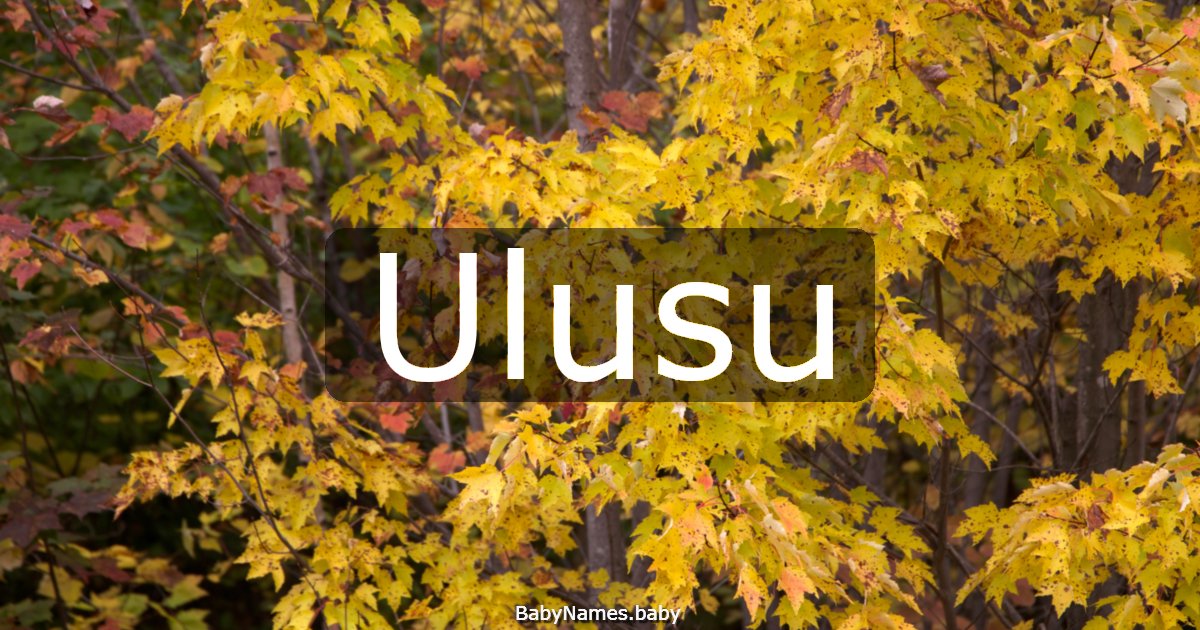 Ulusu