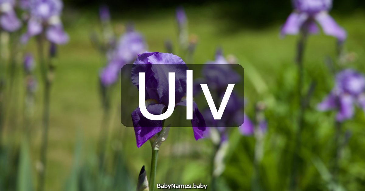 Ulv