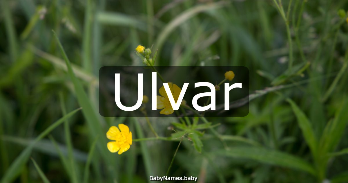 Ulvar