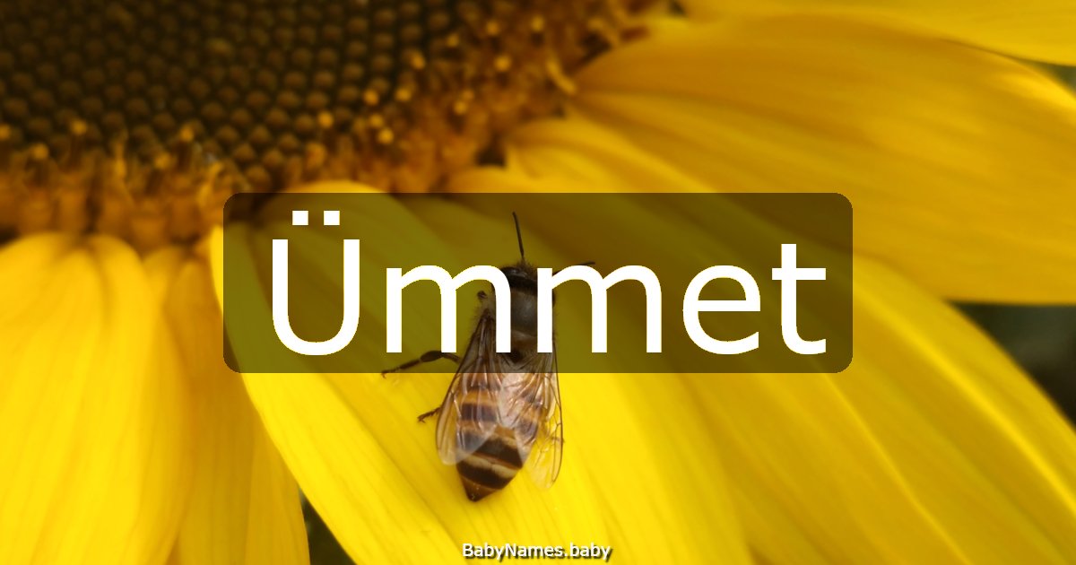 Ümmet