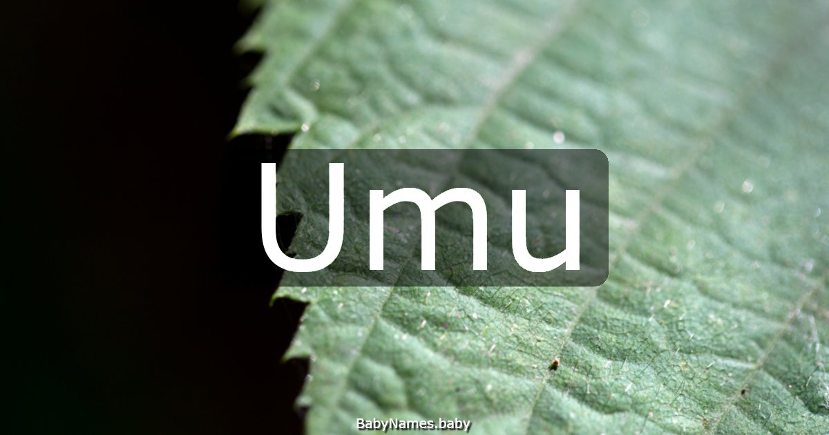 Umu