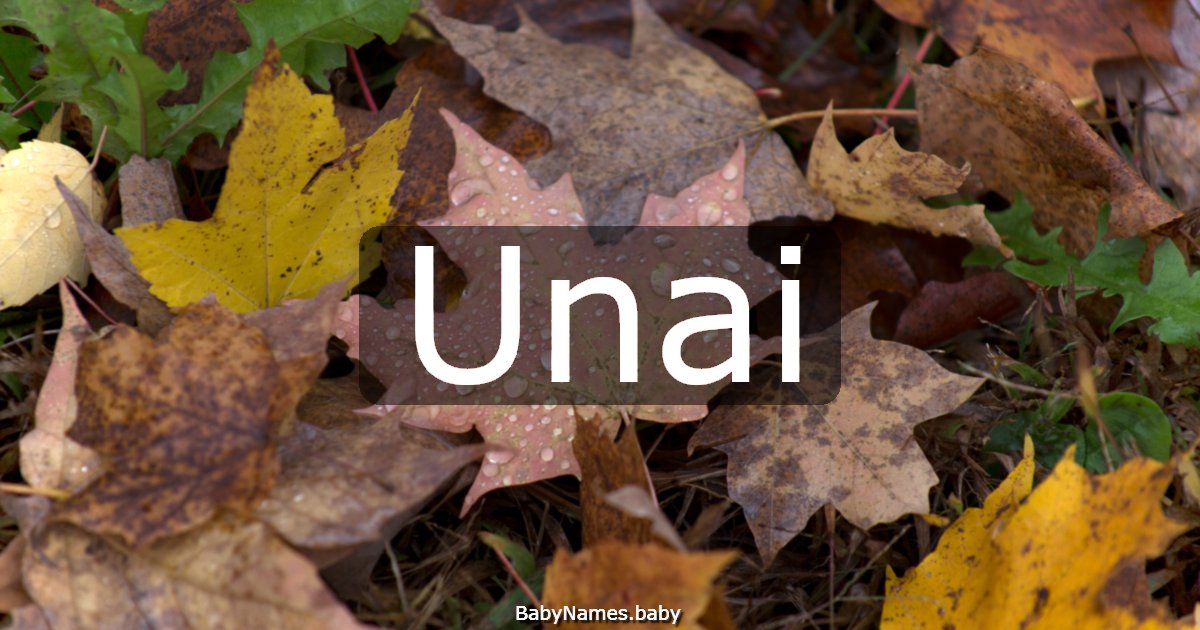 Unai