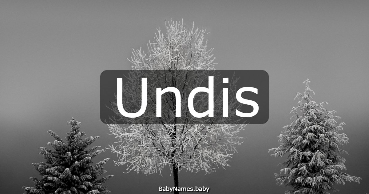 Undis