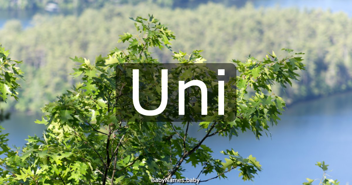 Uni