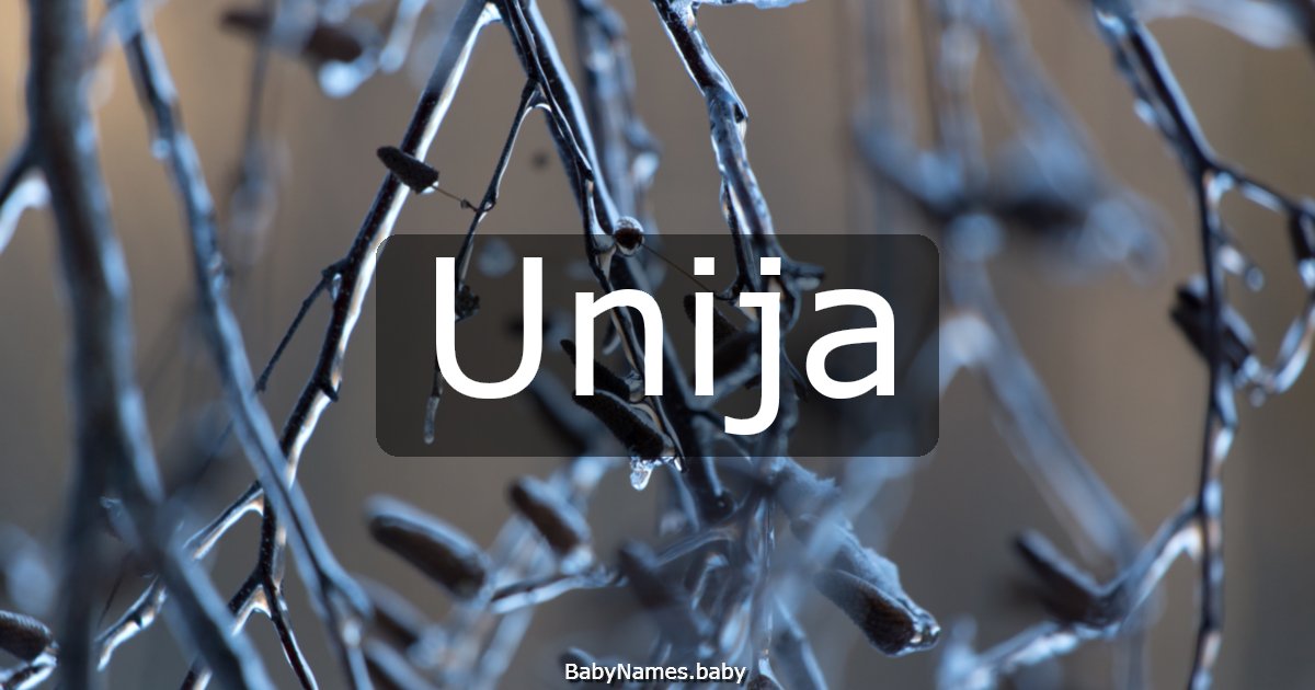 Unija