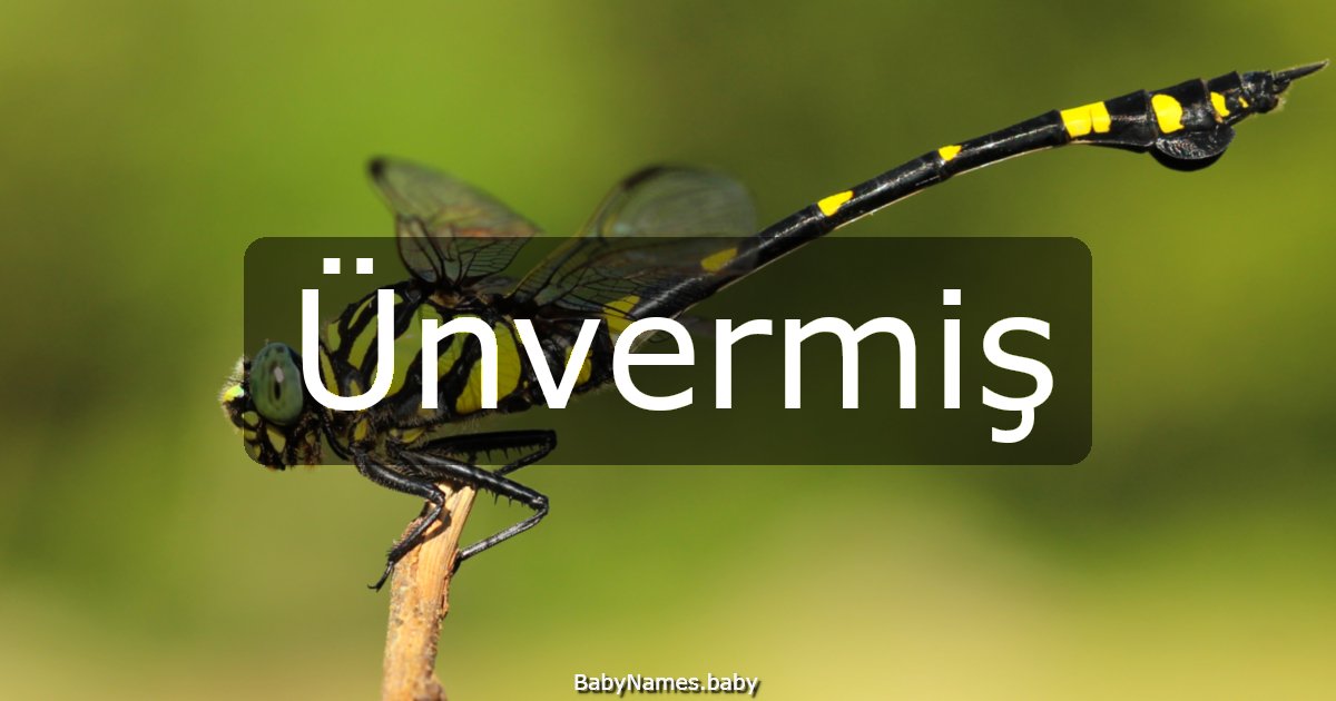 Ünvermiş