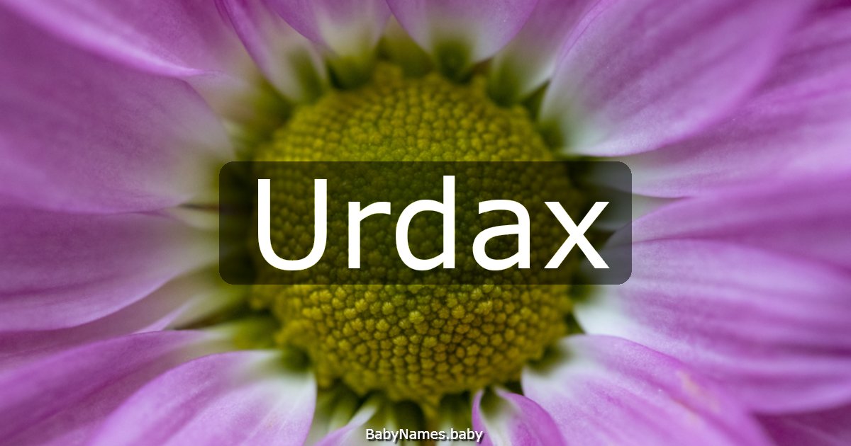 Urdax