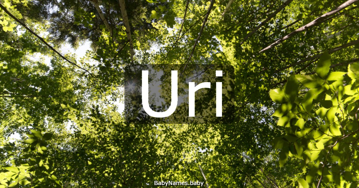 Uri