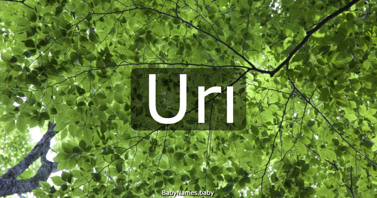Urı