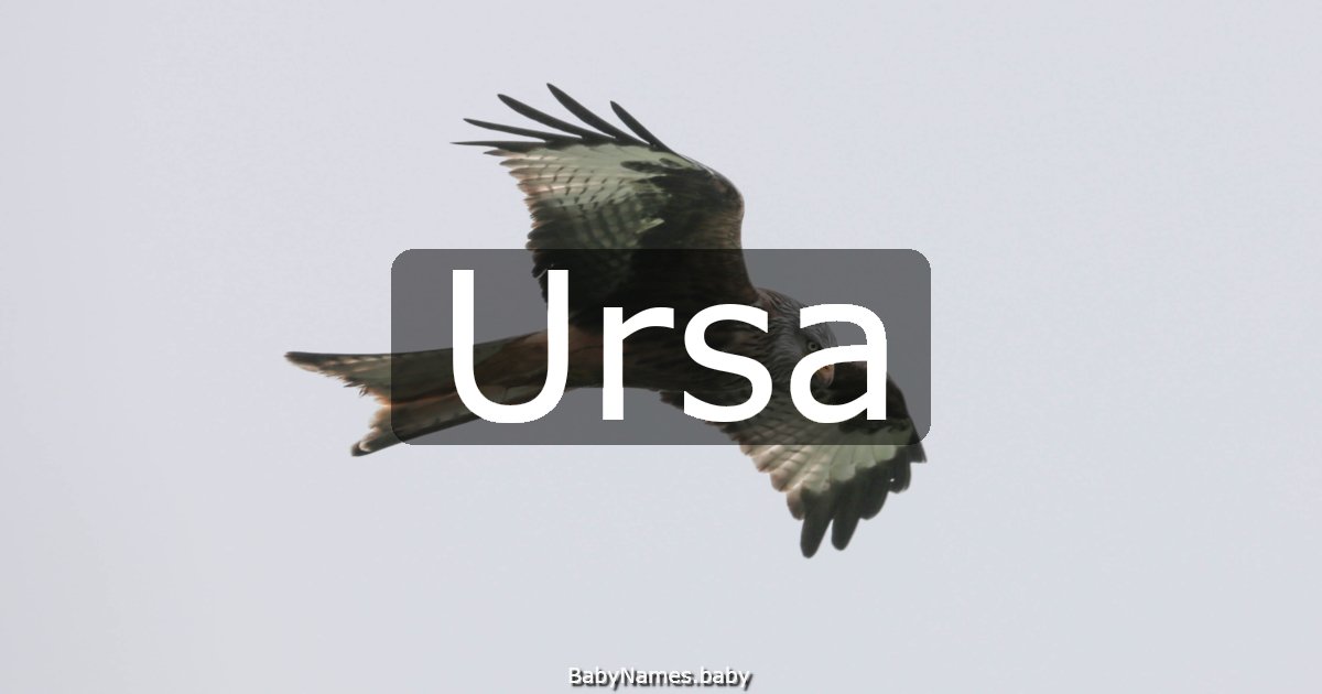 Ursa