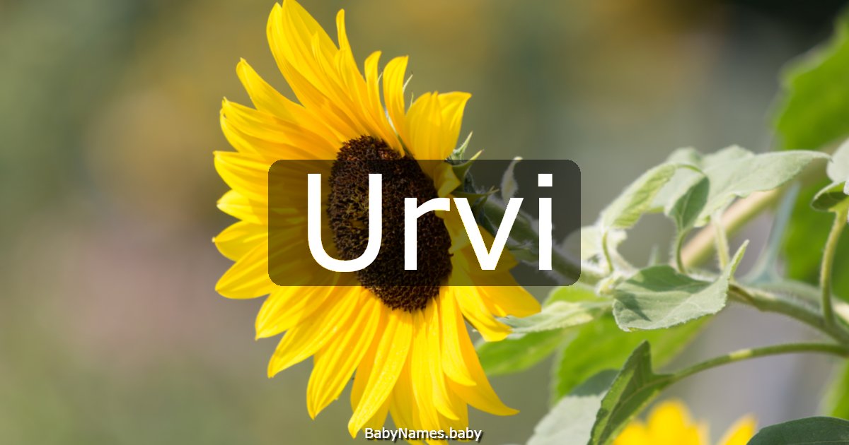 Urvi
