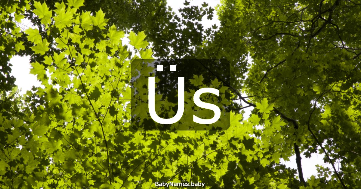 Üs