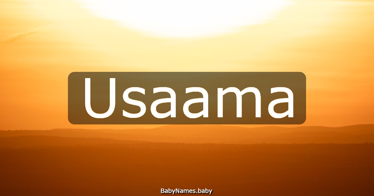 Usaama