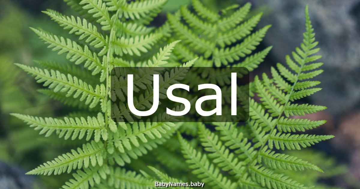 Usal