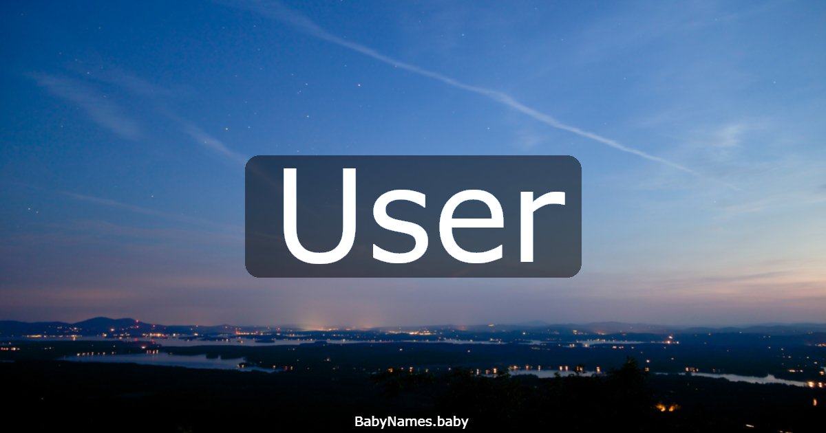 User