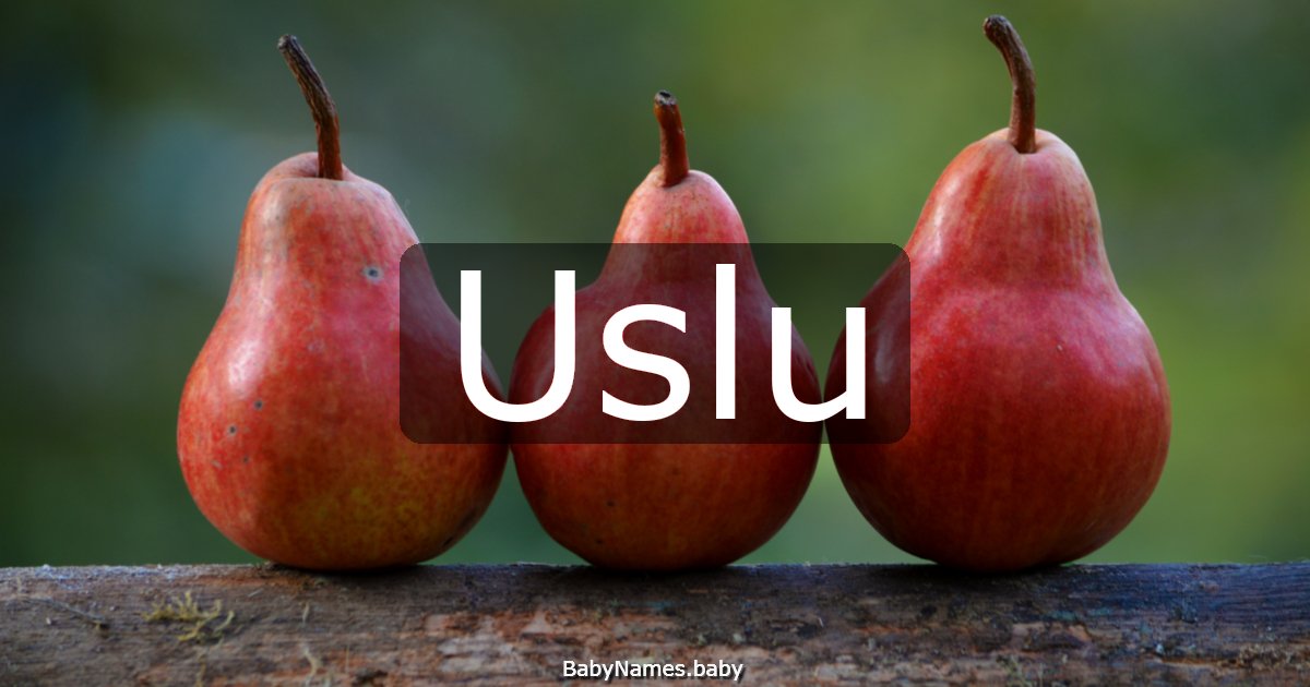 Uslu
