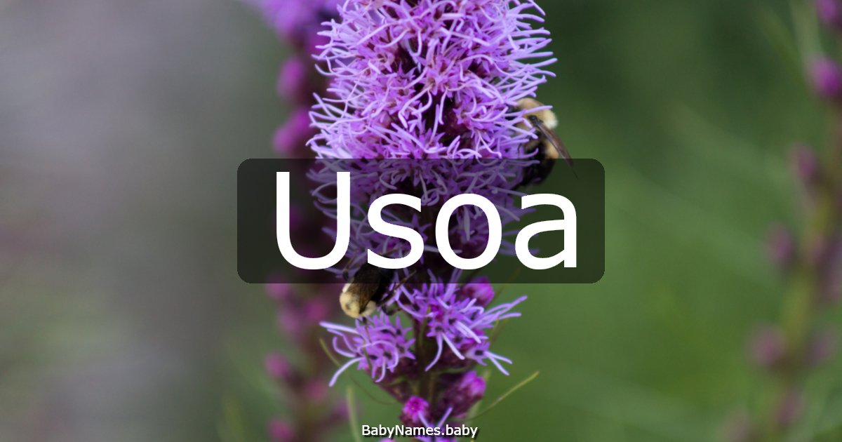 Usoa