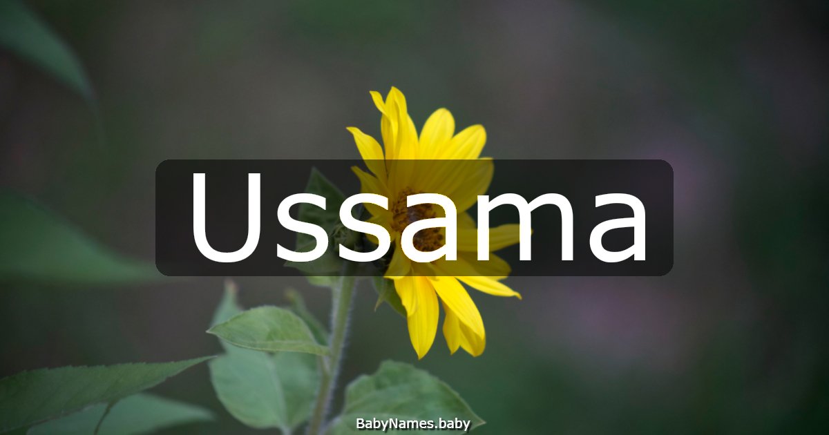 Ussama