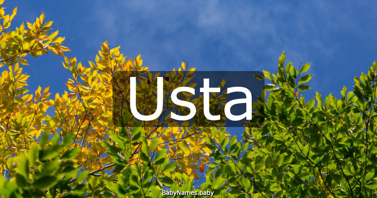 Usta