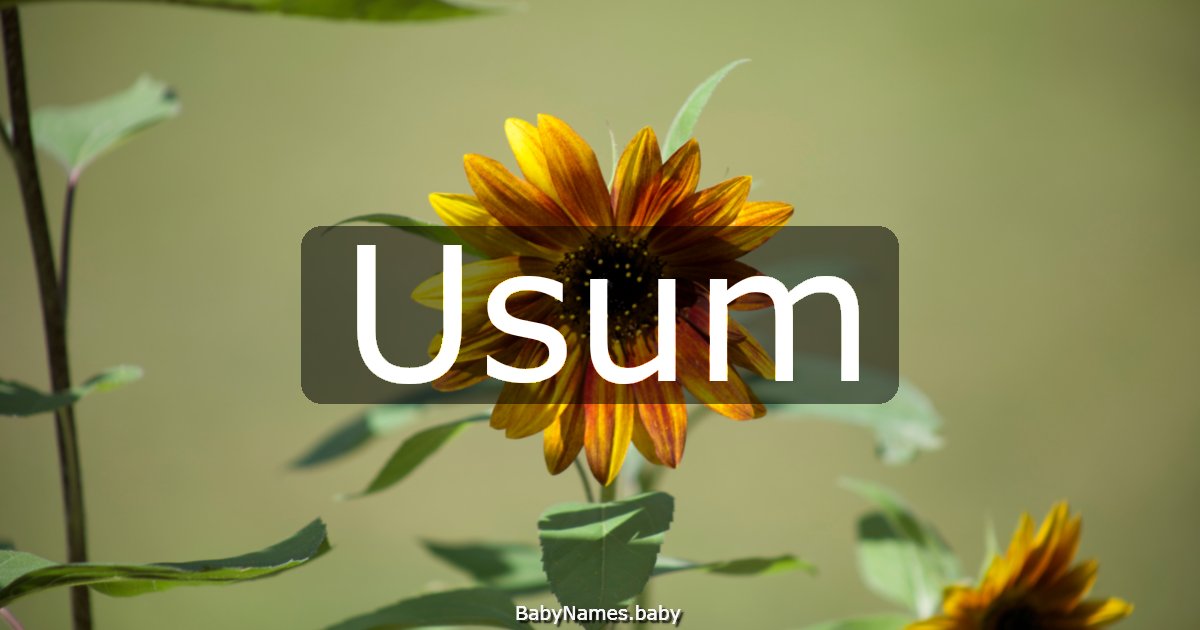 Usum