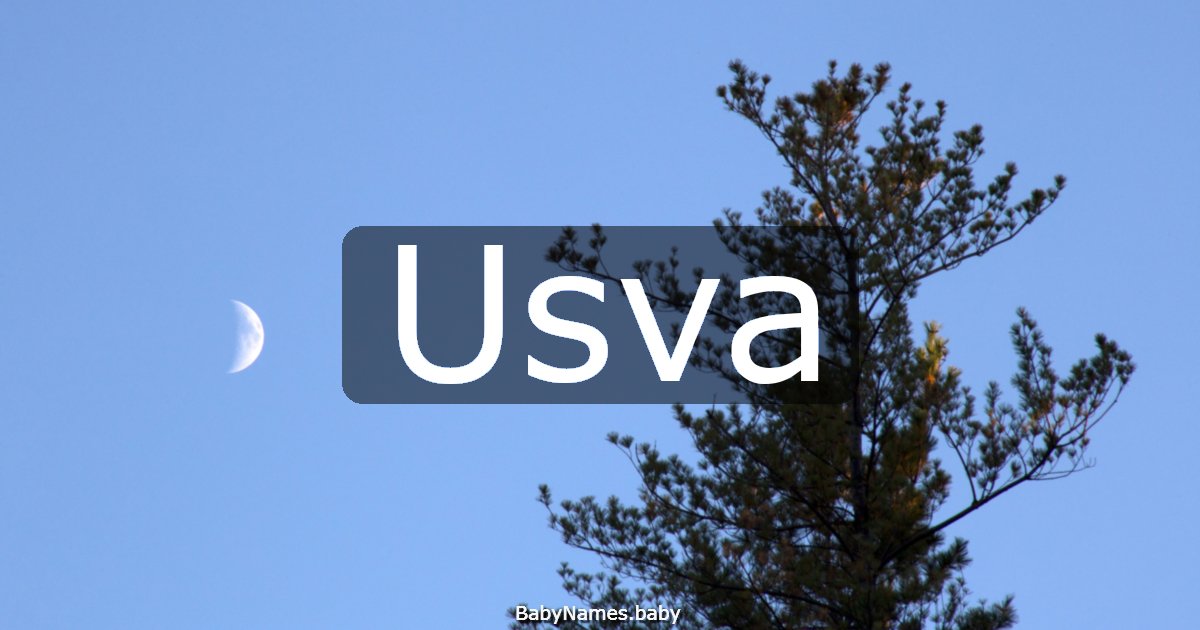 Usva