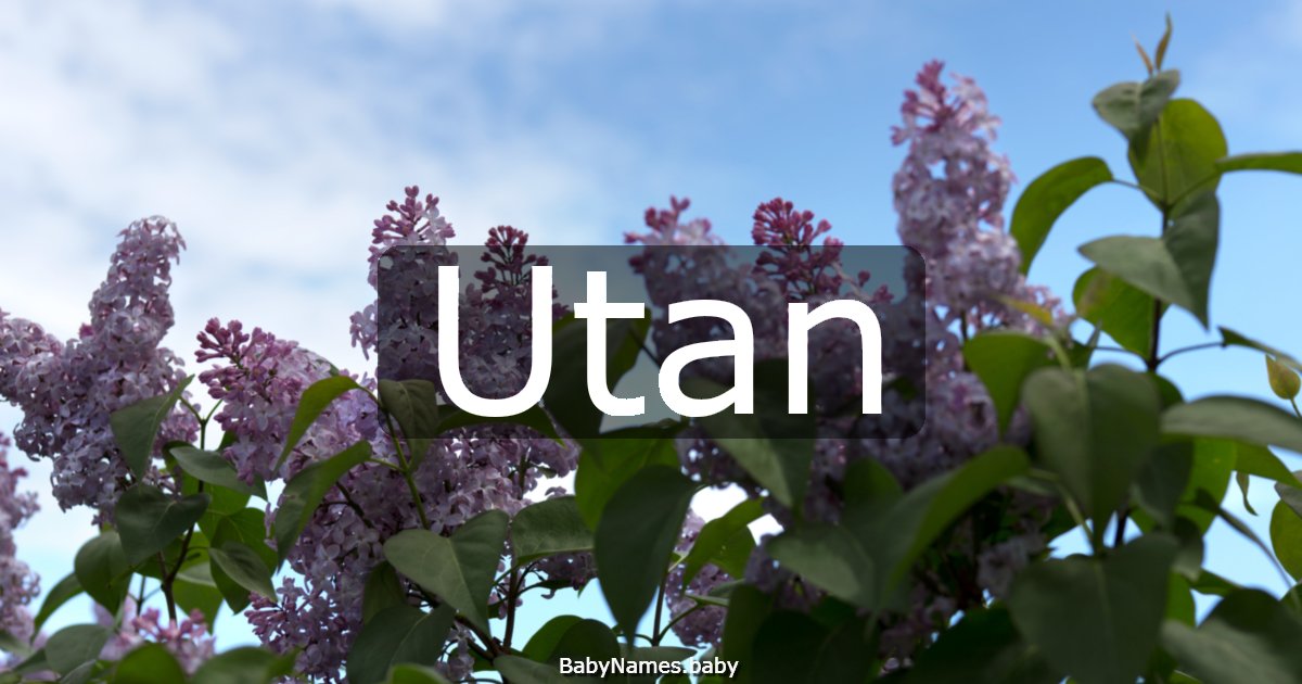 Utan
