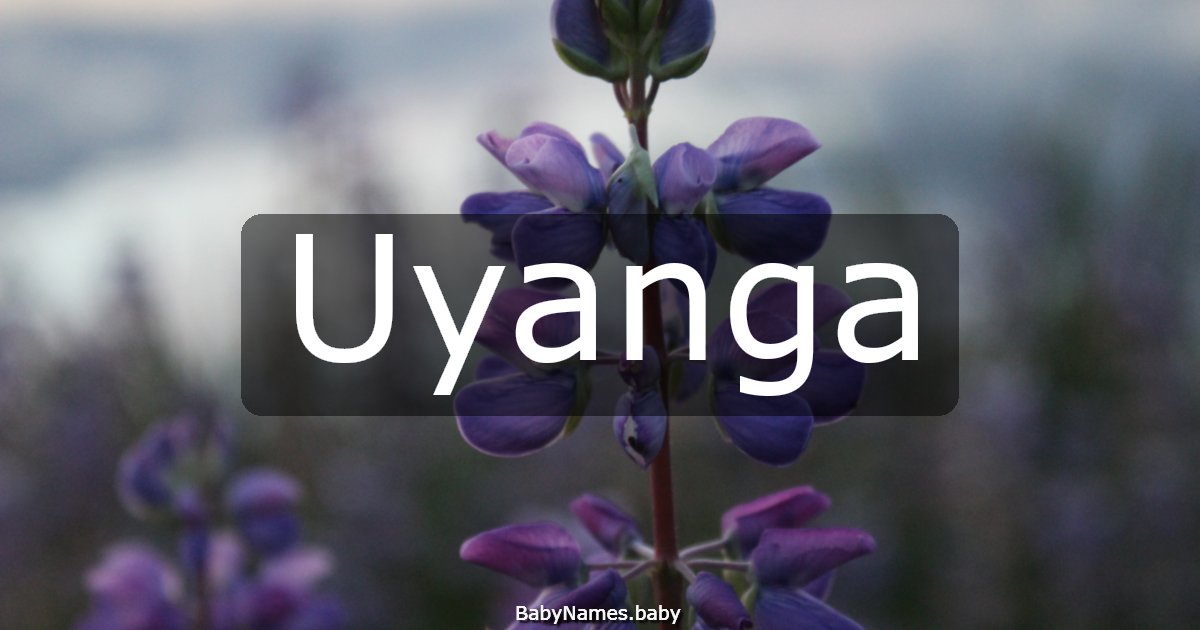 Uyanga