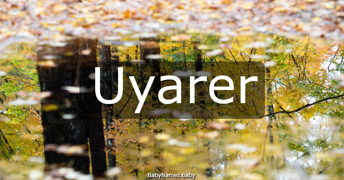 Uyarer