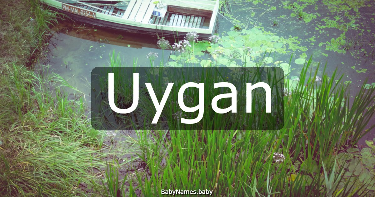 Uygan
