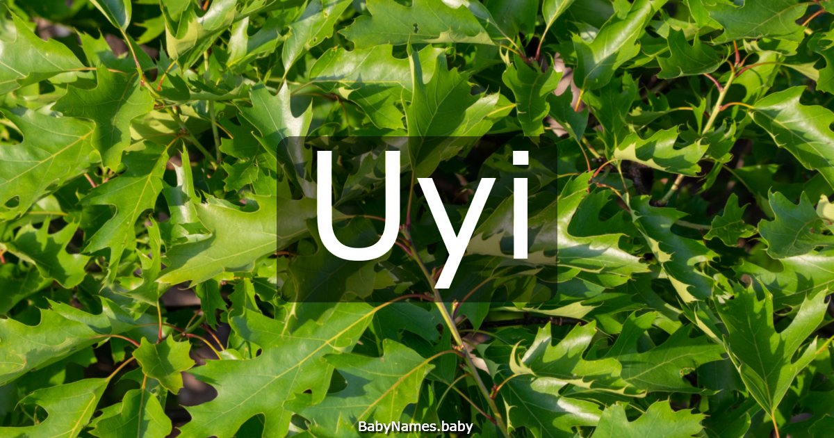 Uyi