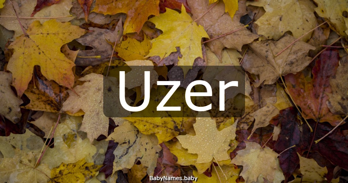 Uzer