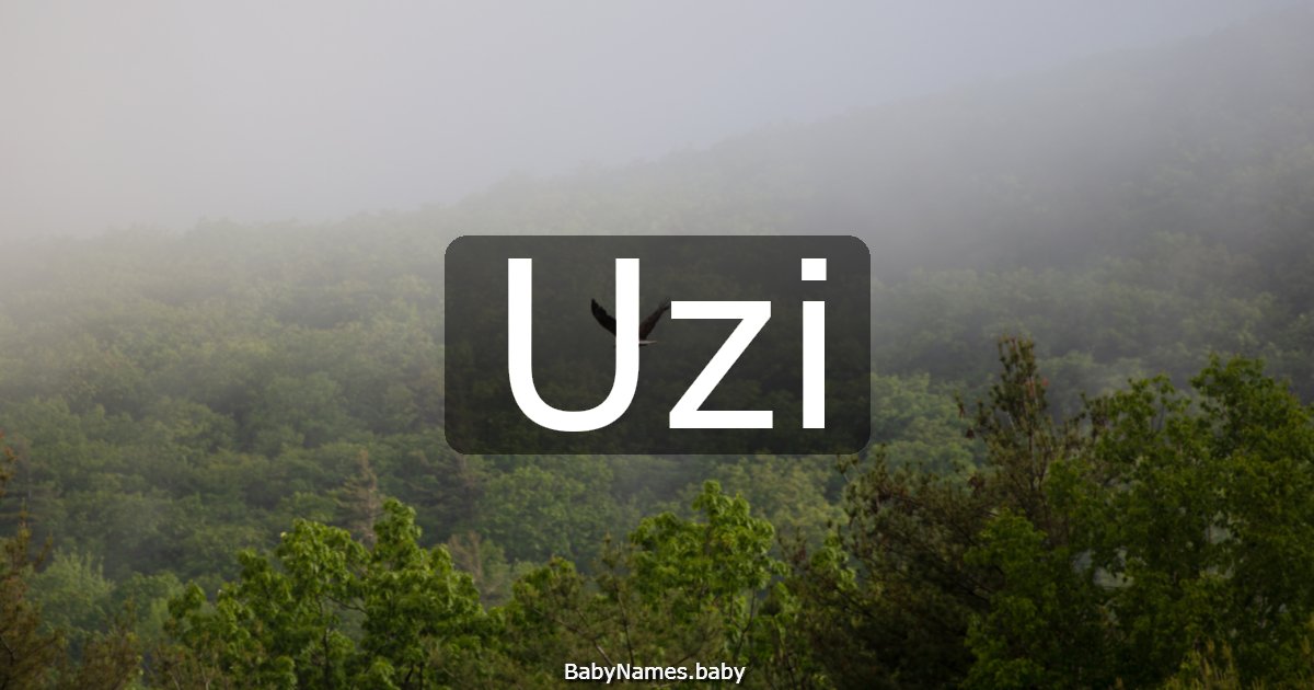 Uzi