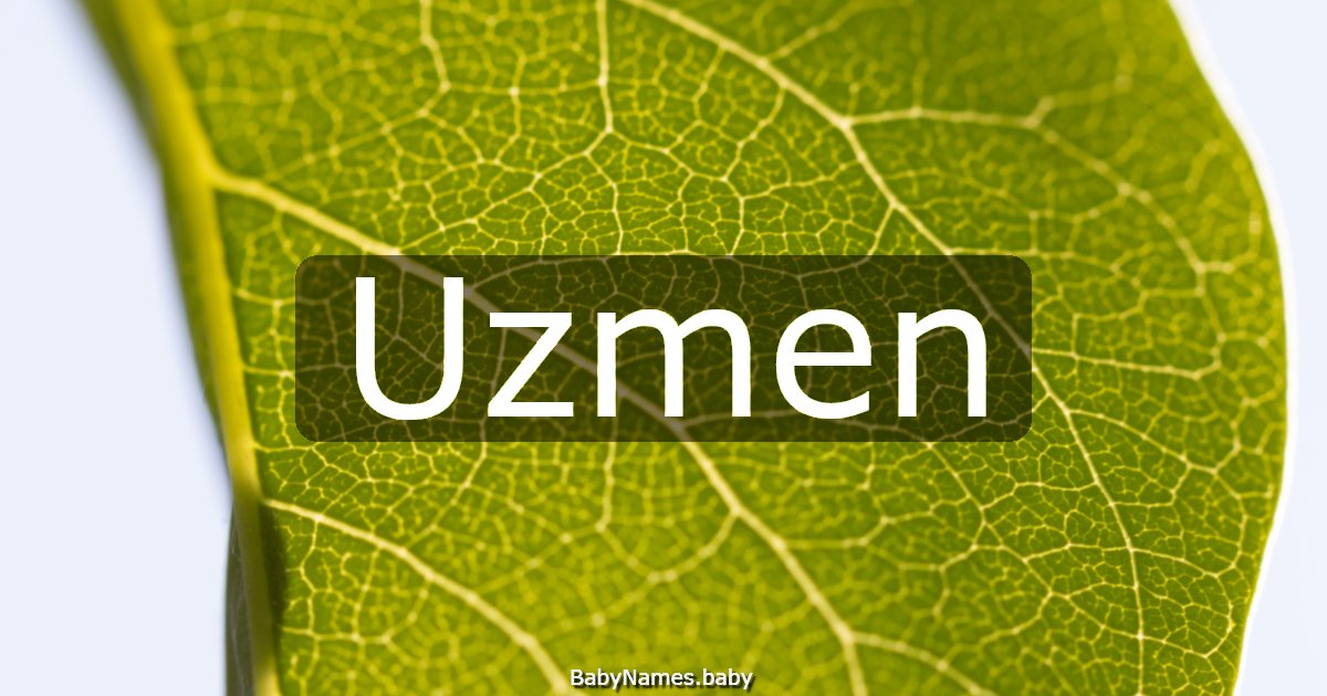 Uzmen