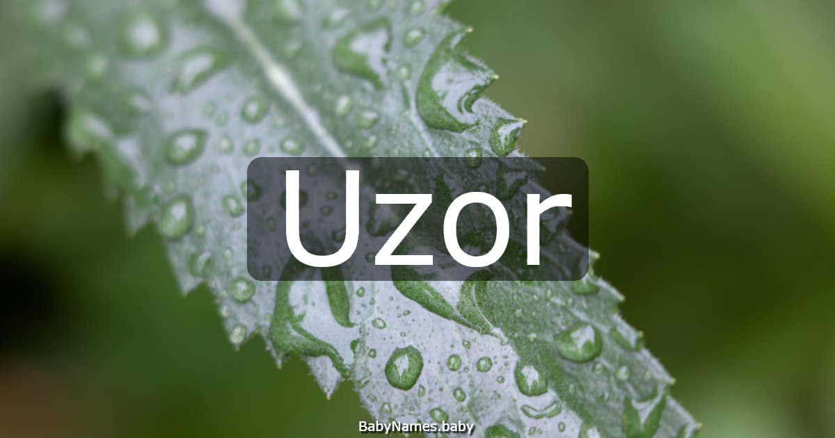 Uzor
