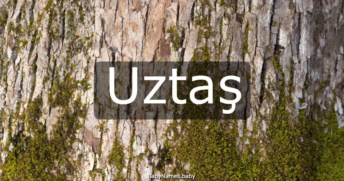Uztaş