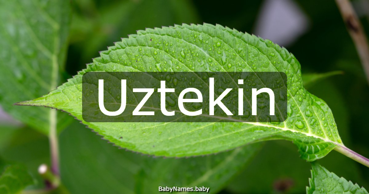 Uztekin