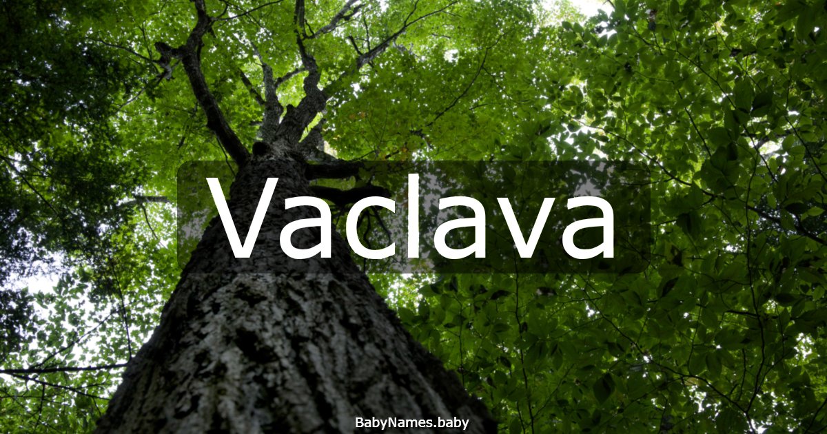 Vaclava