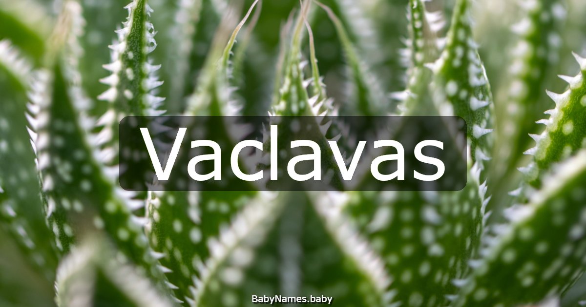 Vaclavas