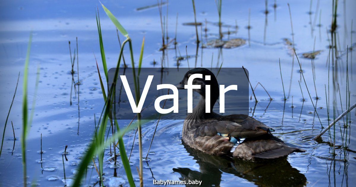 Vafir