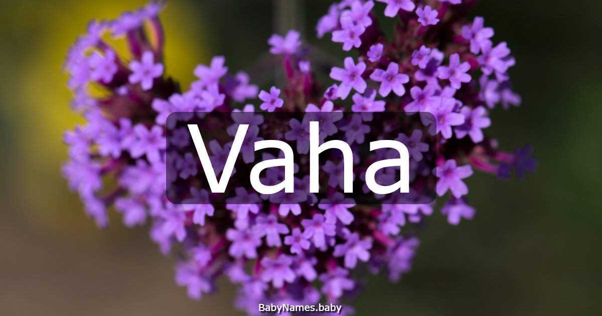 Vaha