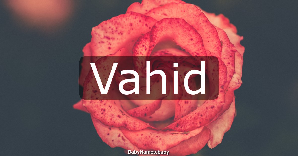 Vahid