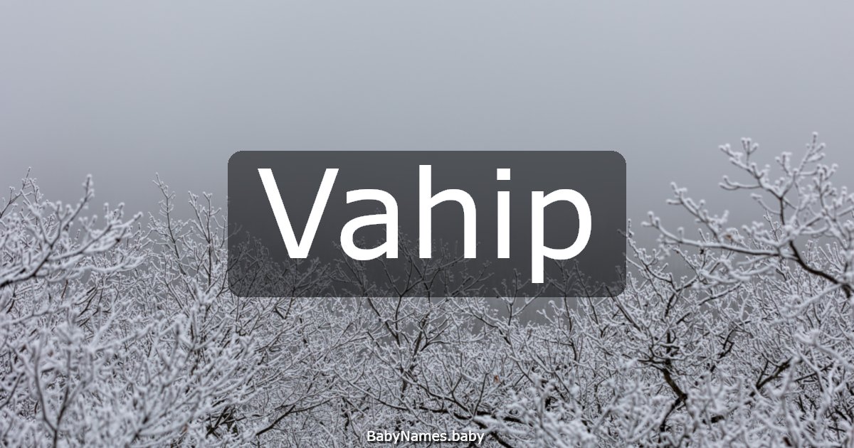 Vahip