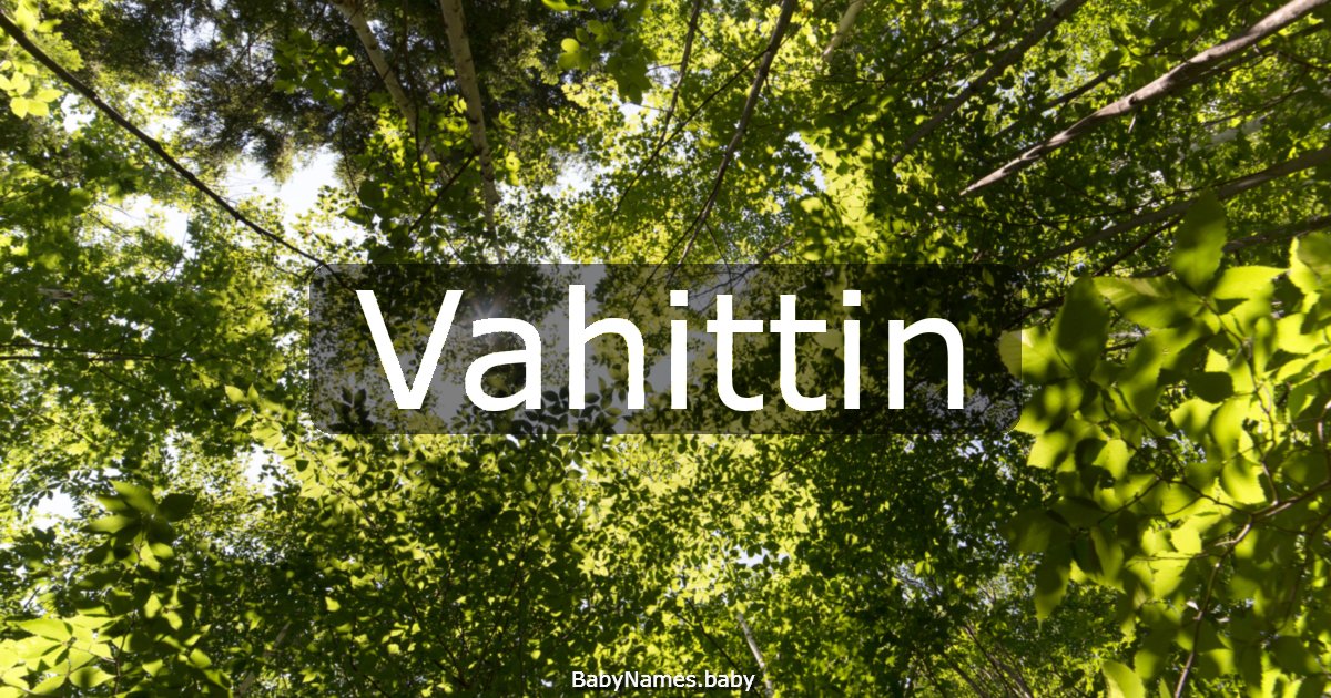 Vahittin