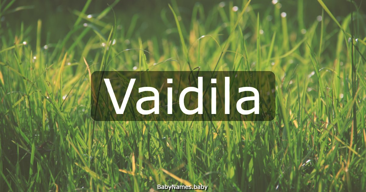 Vaidila