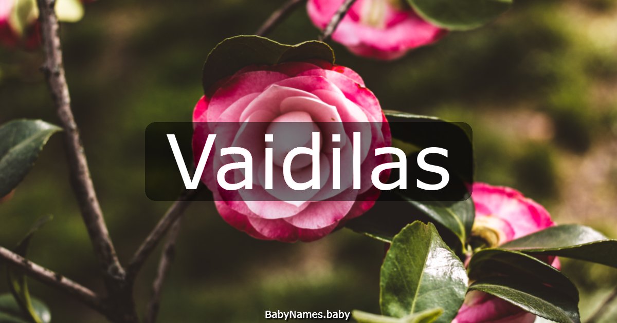 Vaidilas