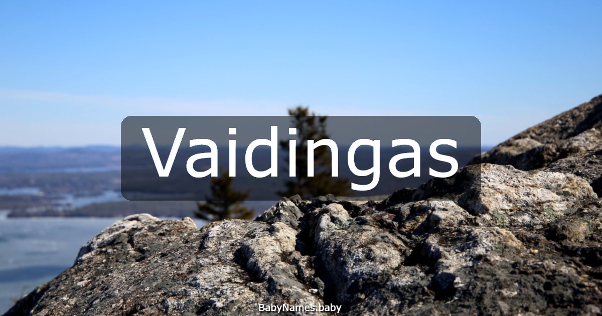 Vaidingas
