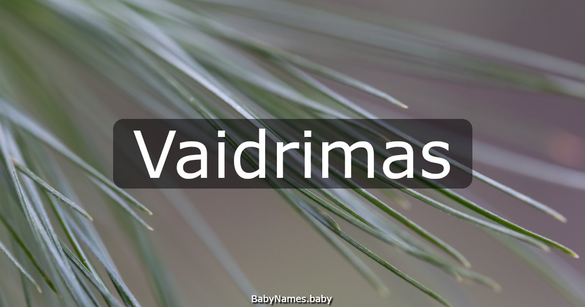Vaidrimas