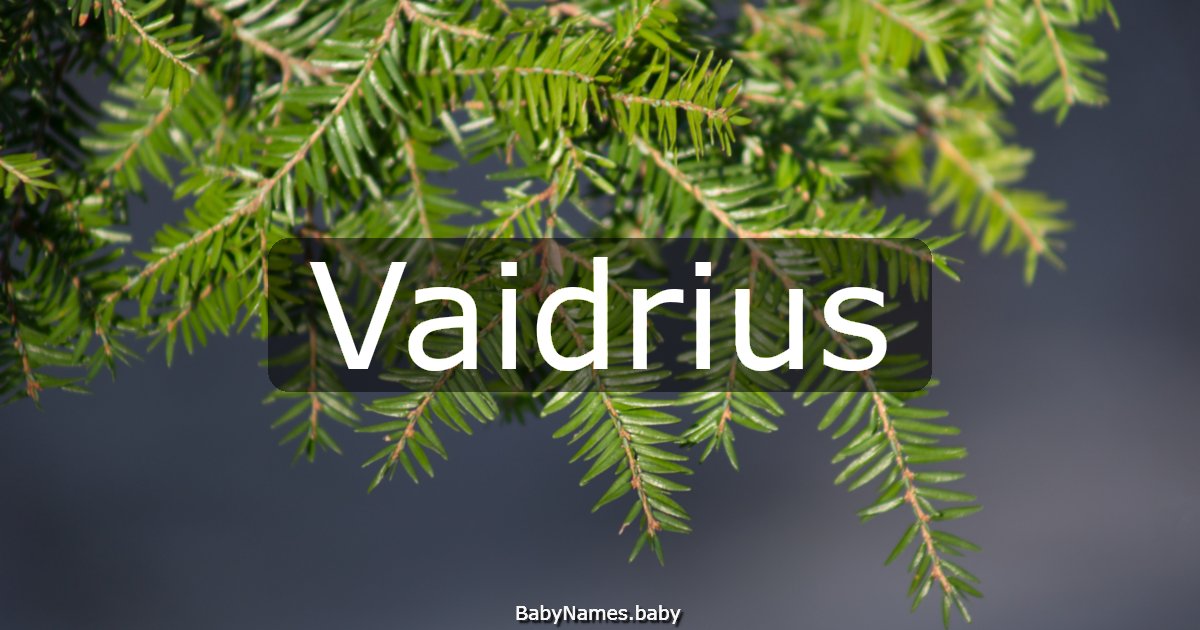 Vaidrius