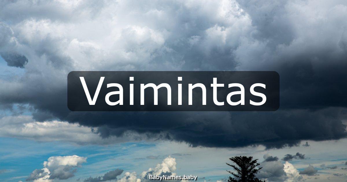 Vaimintas