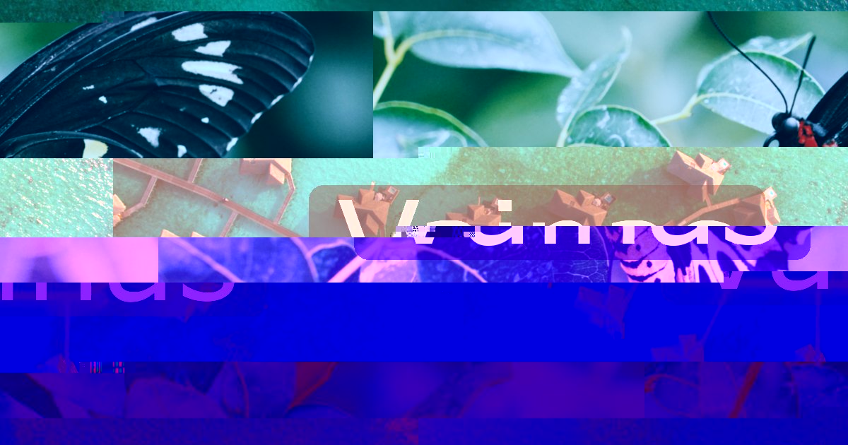 Vainas